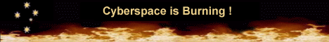 [Cyberspace is Burning - What are you going to do about it?]